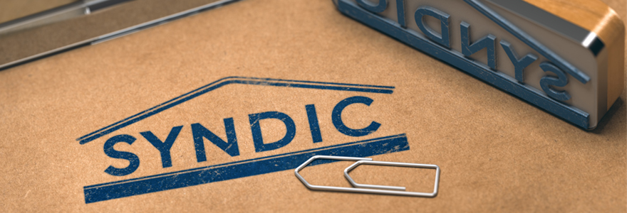Syndic